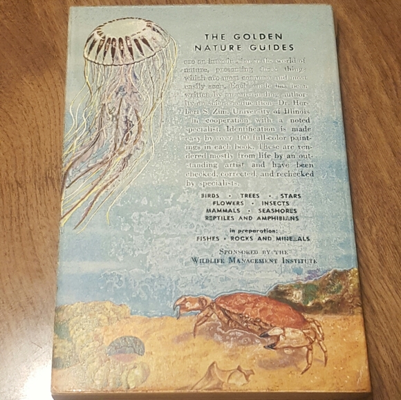 VINTAGE 1955 - A GOLDEN NATURE GUIDE - SEASHORES - Picture 3 of 11